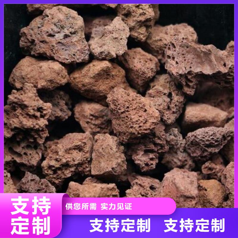 火山岩【果壳滤料】价格有优势