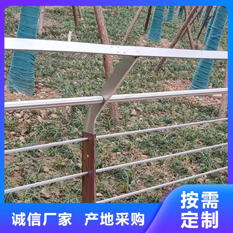 钢丝绳护栏景观河道护栏专注品质