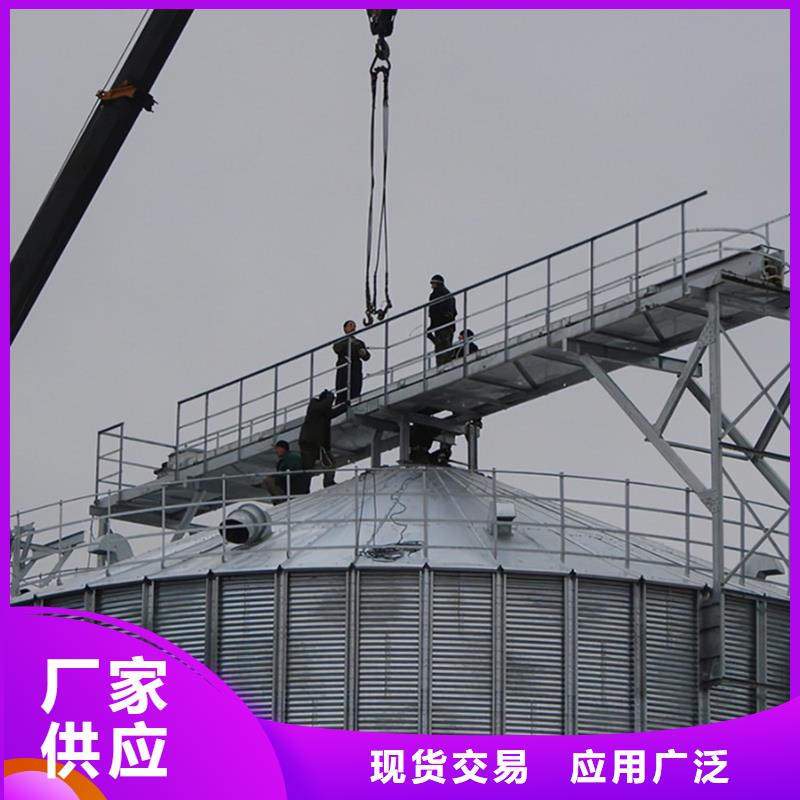 大型立式粮食储存仓加工厂家