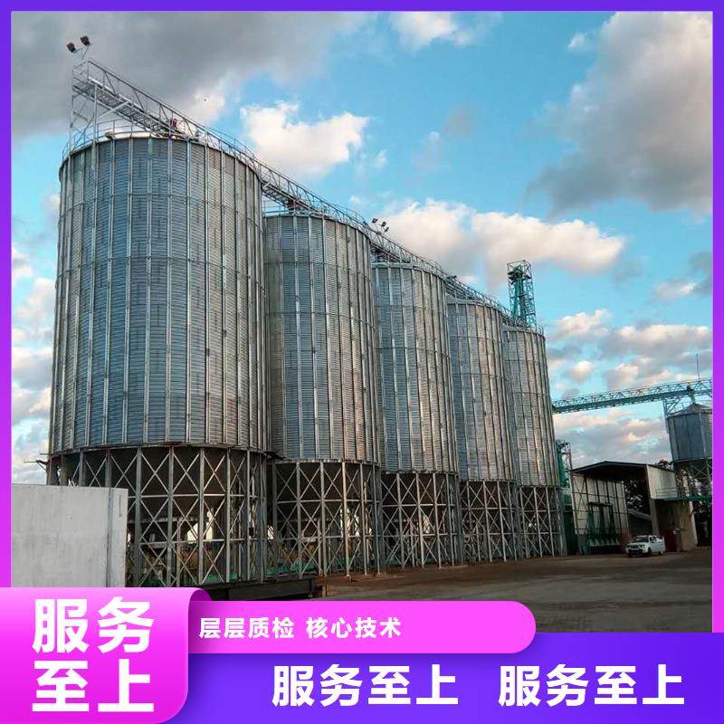大型立式粮食储存仓_厂家定制
