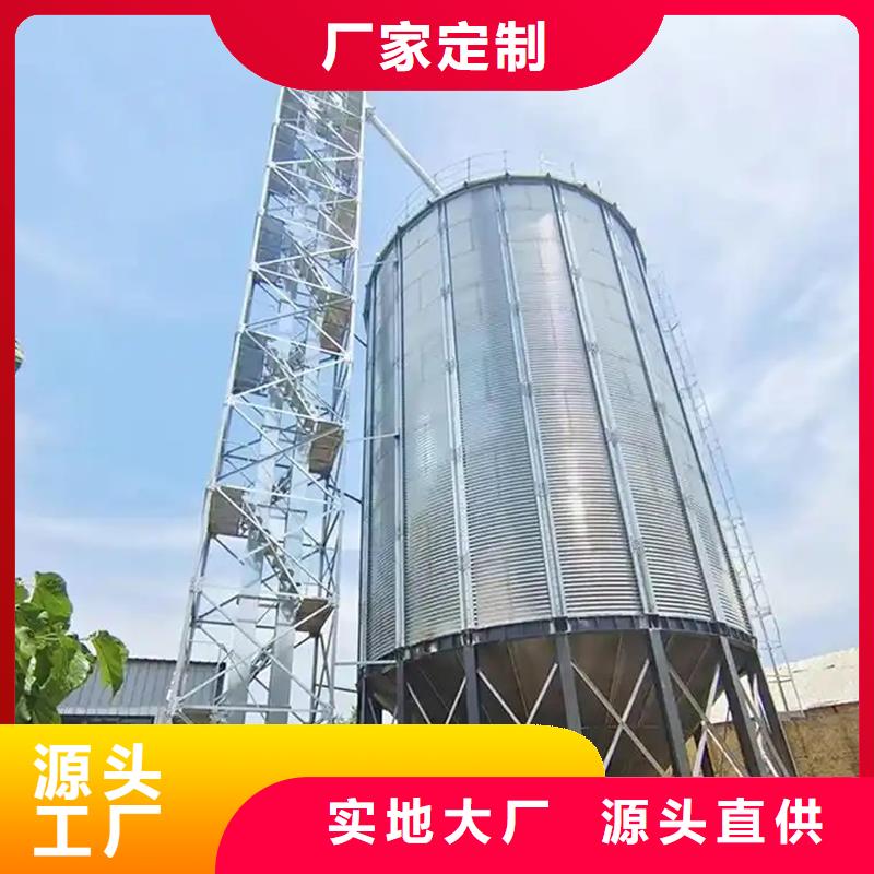 定制大型立式粮食储存仓的当地厂家