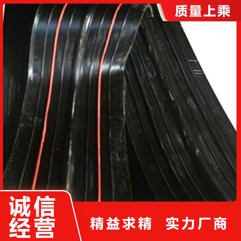 橡胶止水带抗拉球型钢支座大量现货