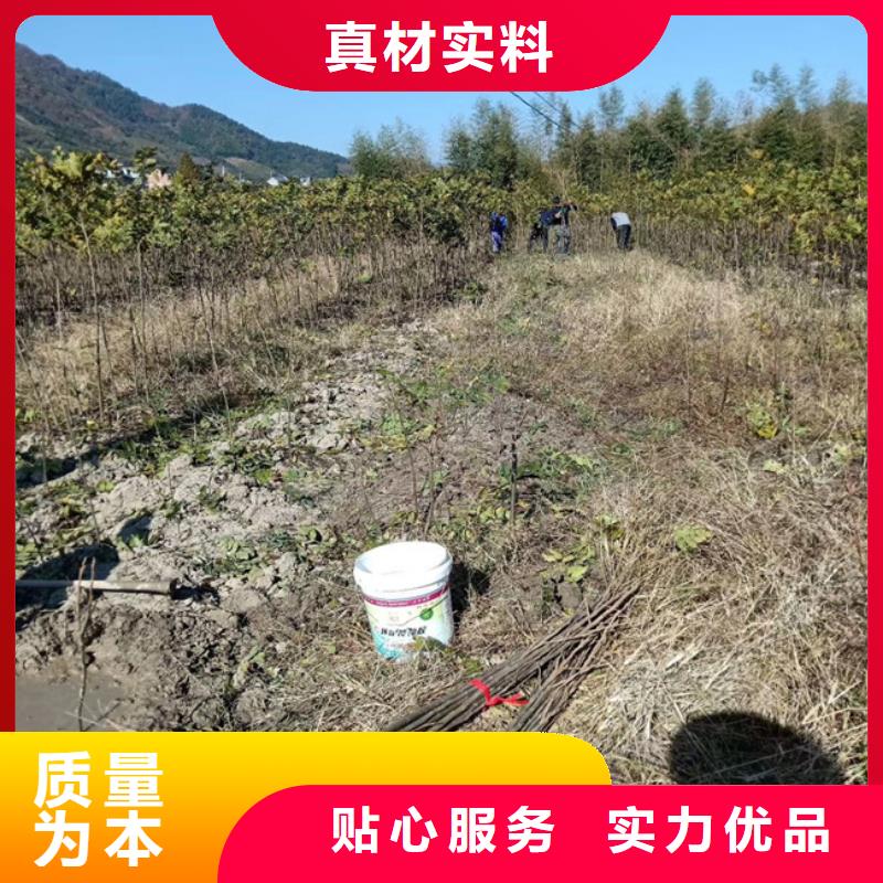 碧根果奶油草莓诚信经营质量保证