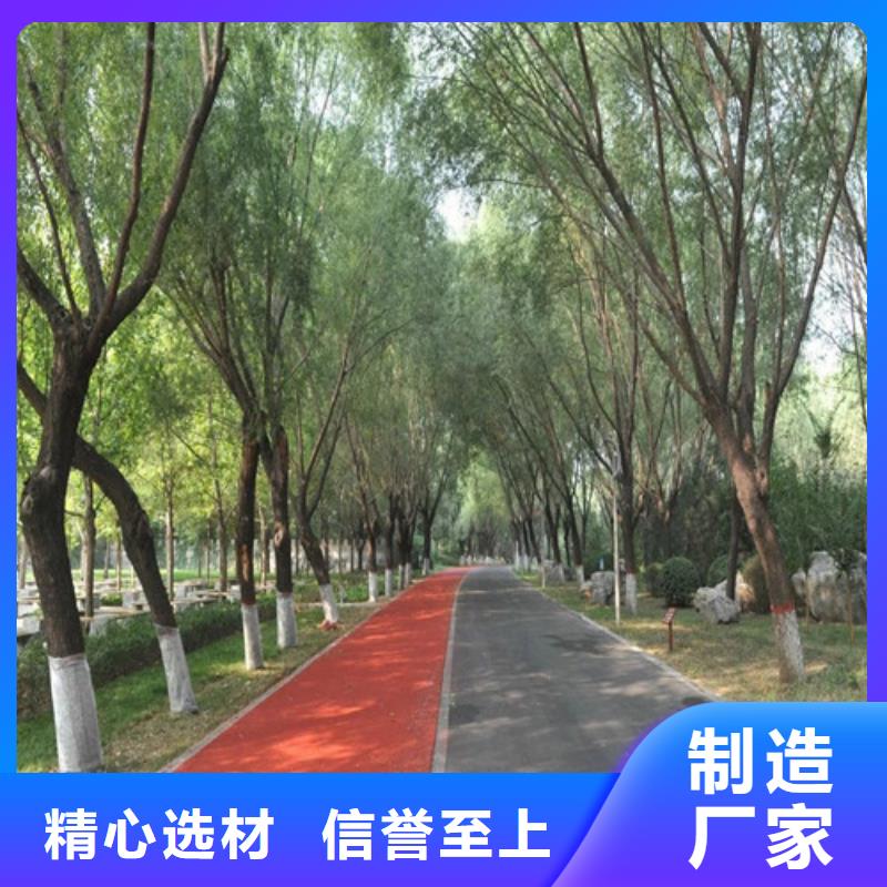 健身步道,塑胶跑道多年经验值得信赖