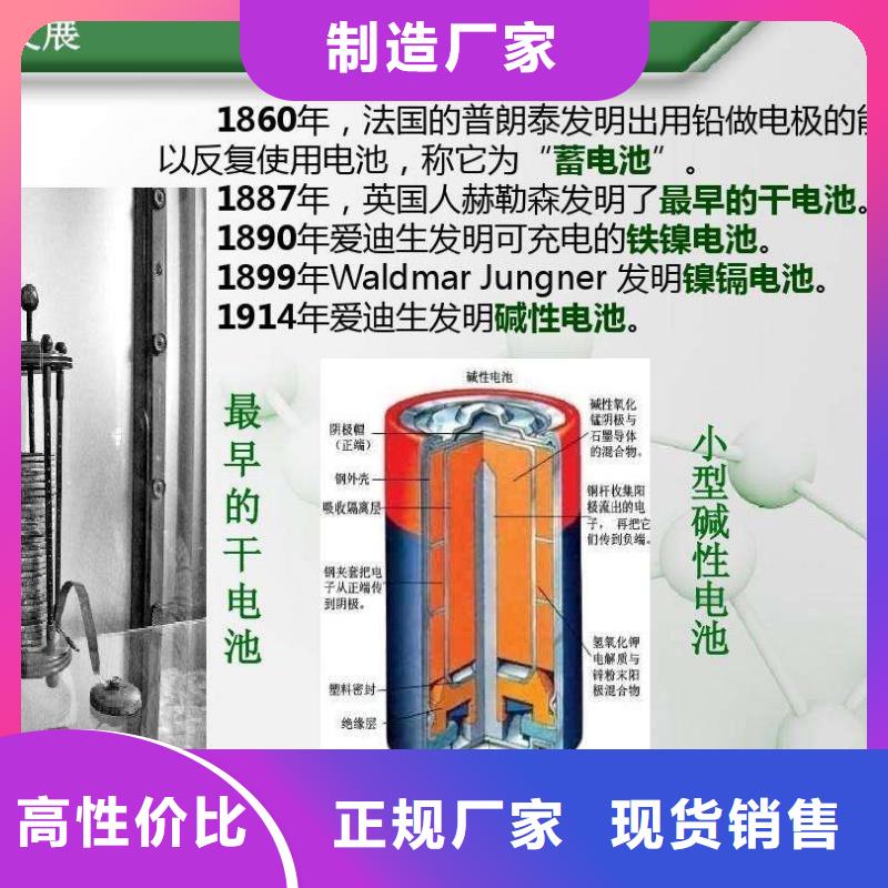 电池回收柴油发电机出租生产经验丰富