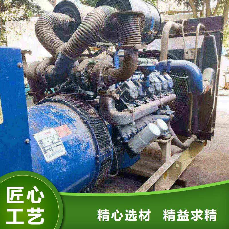 金阳出租发电机