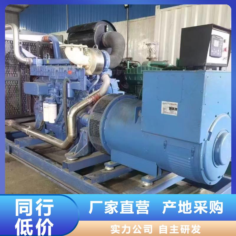 2025更新调河头乡附近电车租赁