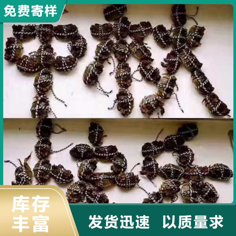 大闸蟹礼卡价格