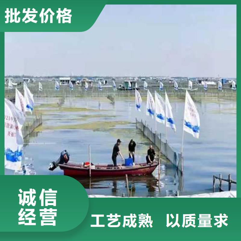 三沙市苏州阳澄湖大闸蟹那家实惠味道好