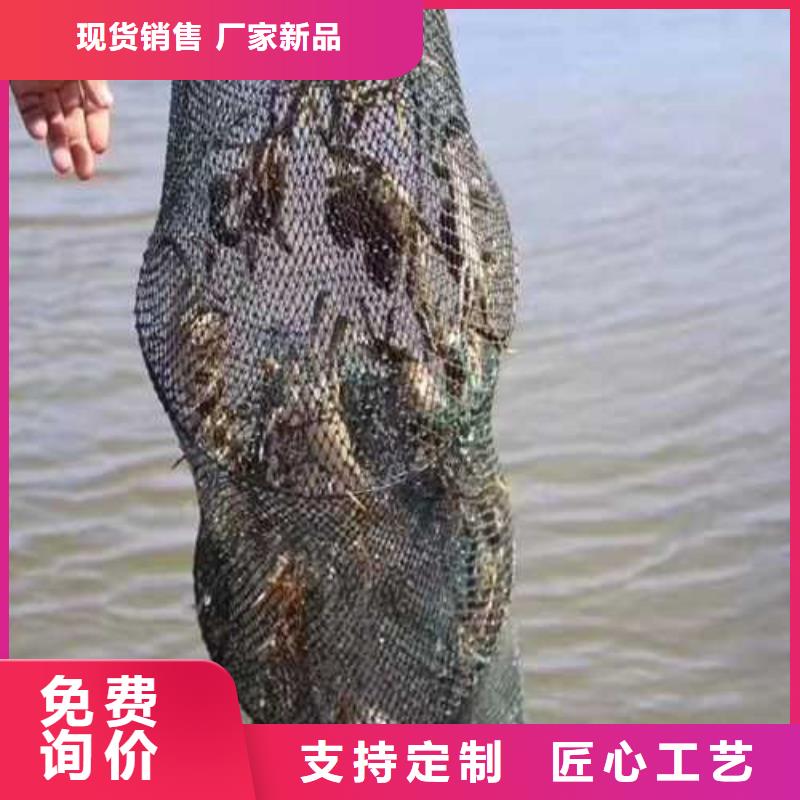 阳澄湖买大闸蟹哪里正宗苏州莲花岛顾记蟹庄