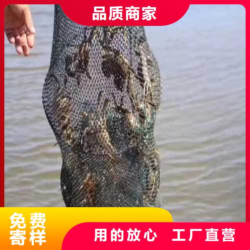 阳澄湖吃蟹哪里好这里好