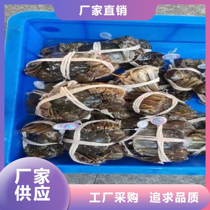 常年供应大闸蟹礼盒-现货供应