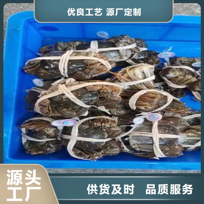 南方大闸蟹价格