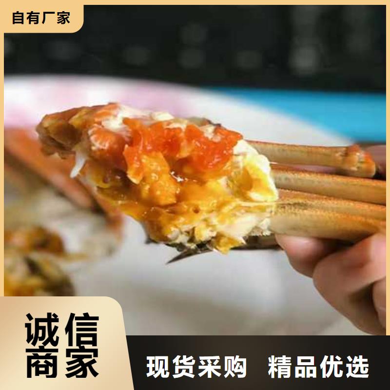 正宗阳澄湖大闸蟹精品团购