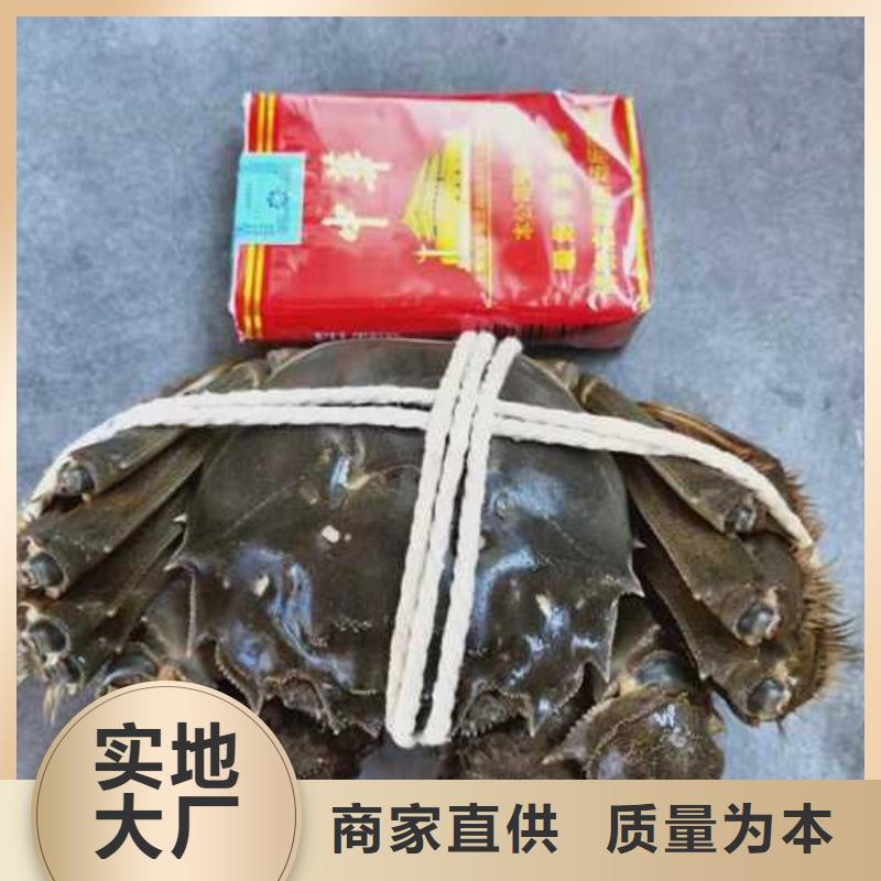 鲜活特大螃蟹哪家好