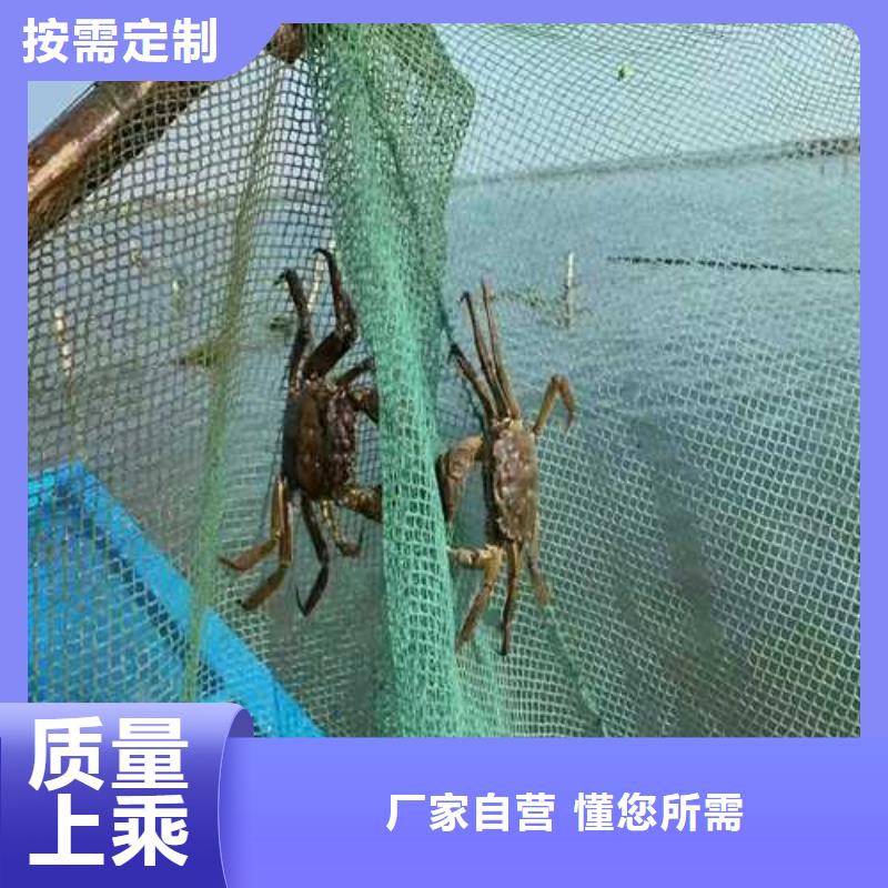 生产大闸蟹的实体厂家