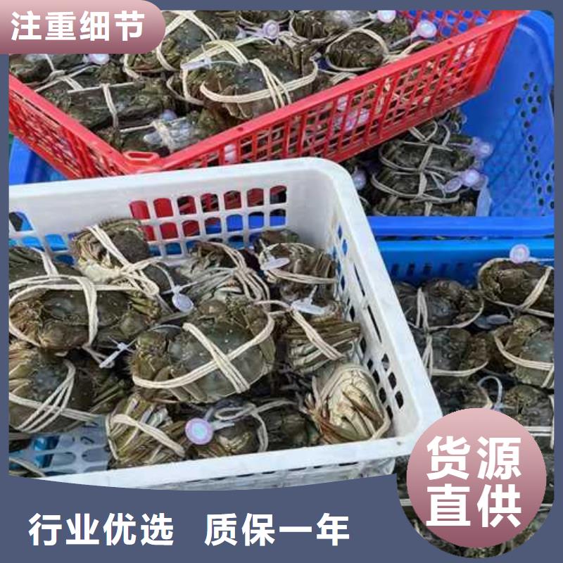 为您提供超大闸蟹厂家