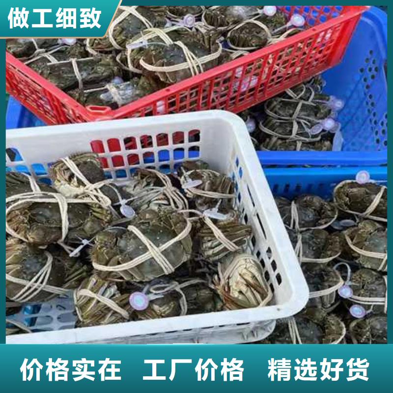 优惠的超大闸蟹品牌厂家