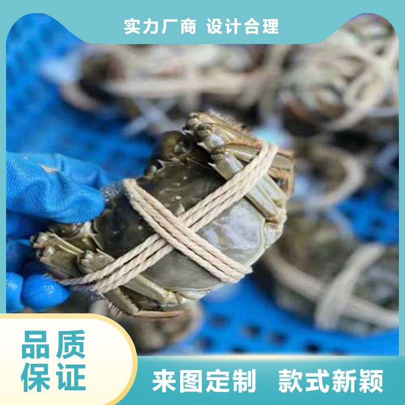 价格合理的大闸蟹公司