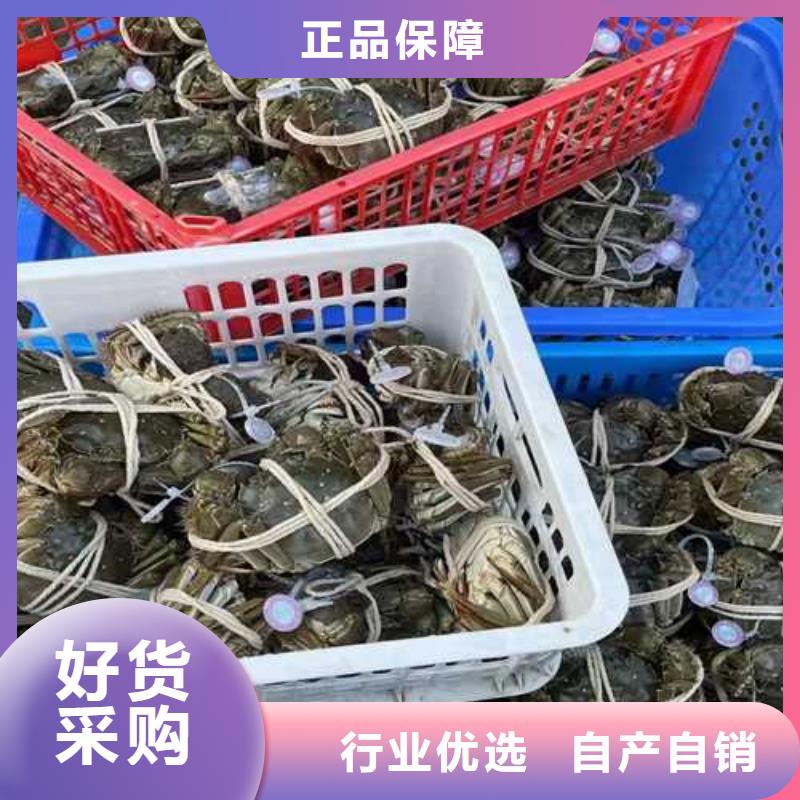 阳澄湖吃蟹哪里好这里好