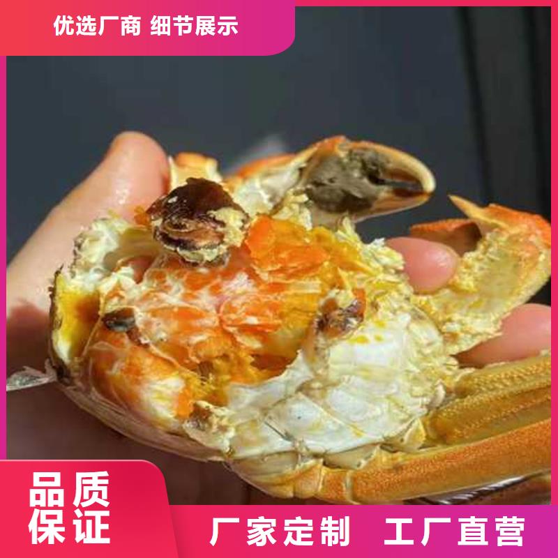 鲜活阳澄湖螃蟹订购