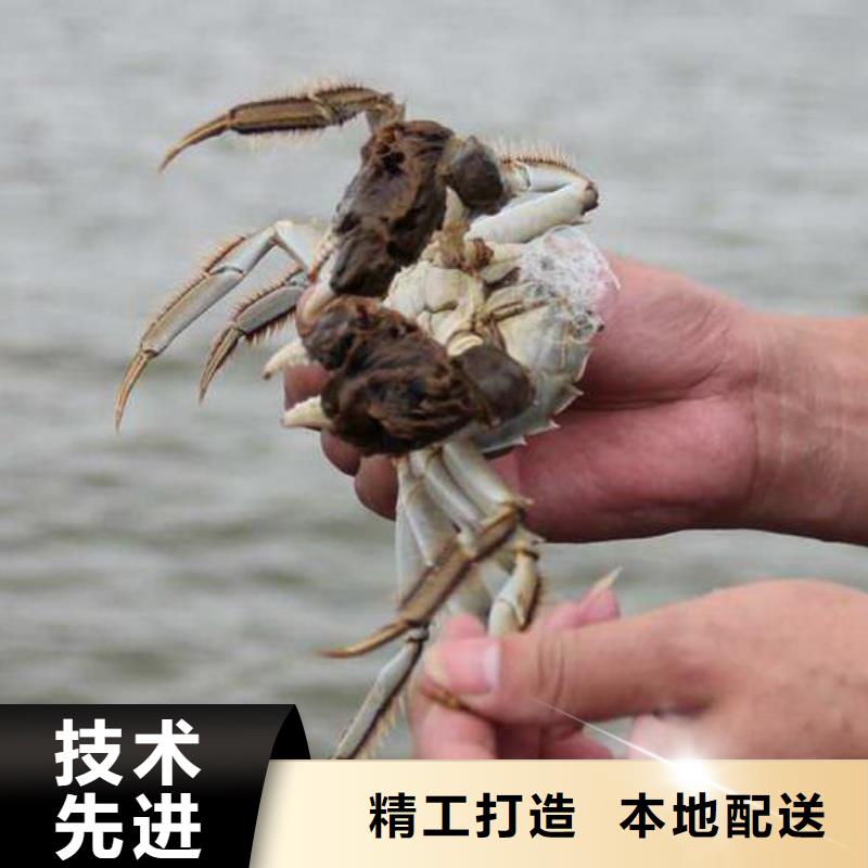 阳澄湖蟹哪里买苏州莲花岛