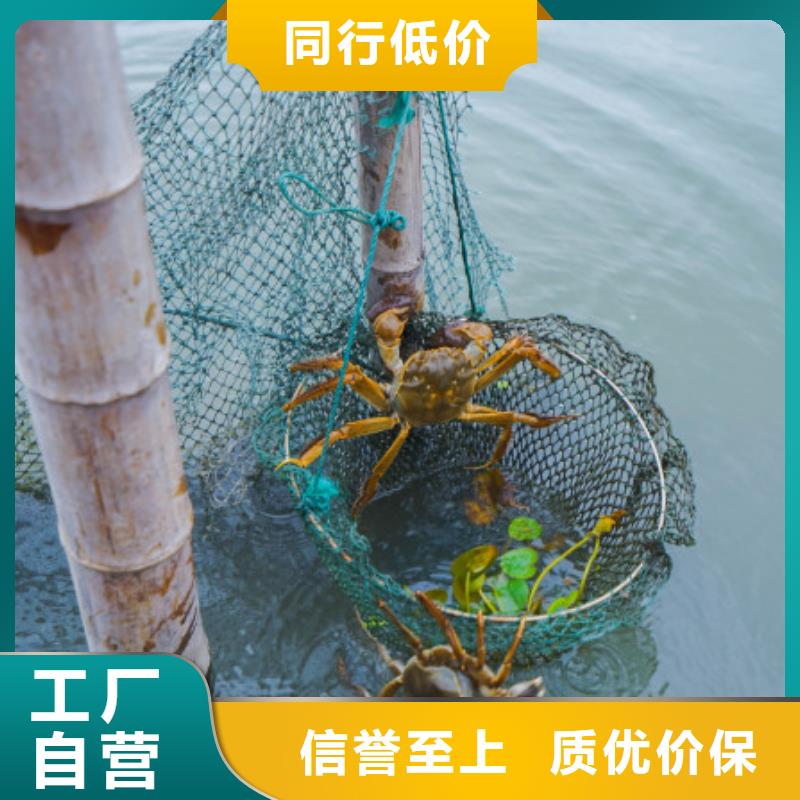 阳澄湖吃蟹哪里好这里好