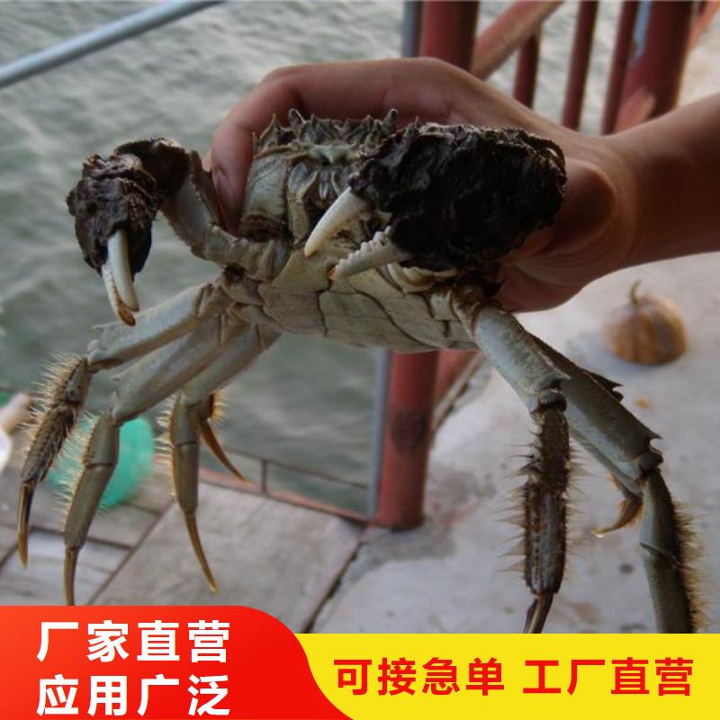 螃蟹多少钱一斤
