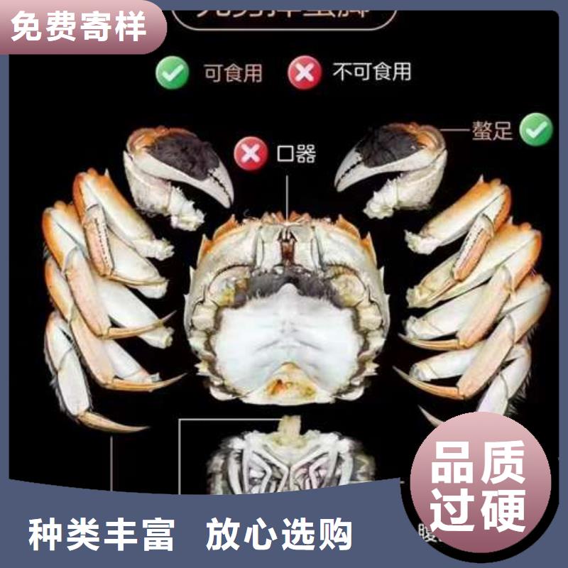 肇庆市便宜的阳澄湖大闸蟹的价格