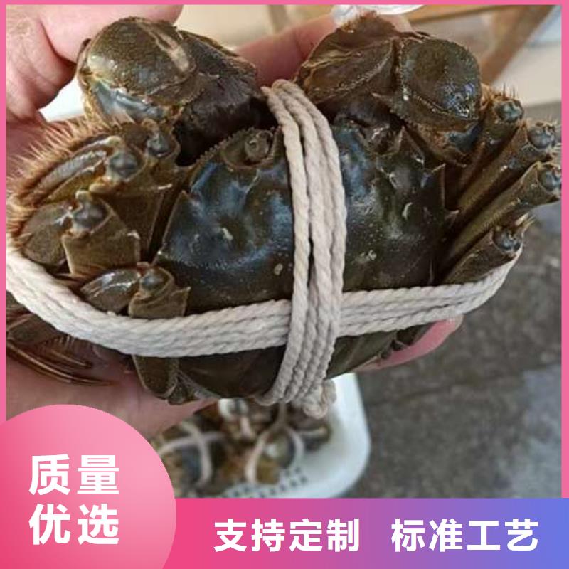 阳江市精品大闸蟹专卖