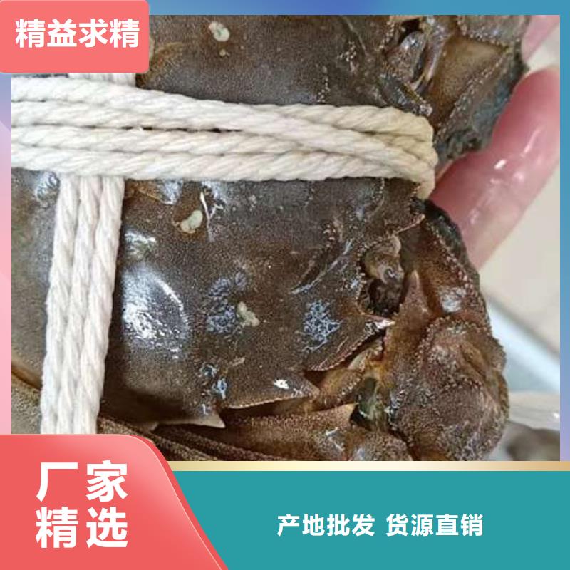 湛江市南方大螃蟹一斤几只