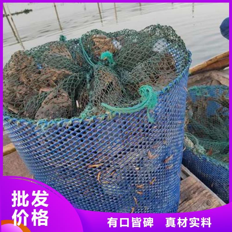 百色阳澄湖大闸蟹专卖点