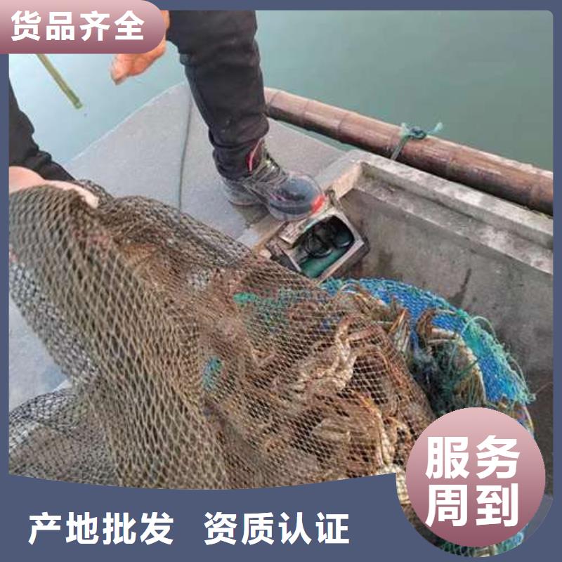 注重阳澄湖大闸蟹质量的厂家