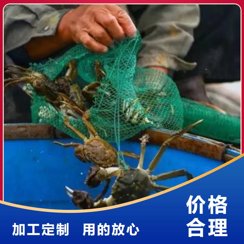 阳澄湖大闸蟹品牌-报价