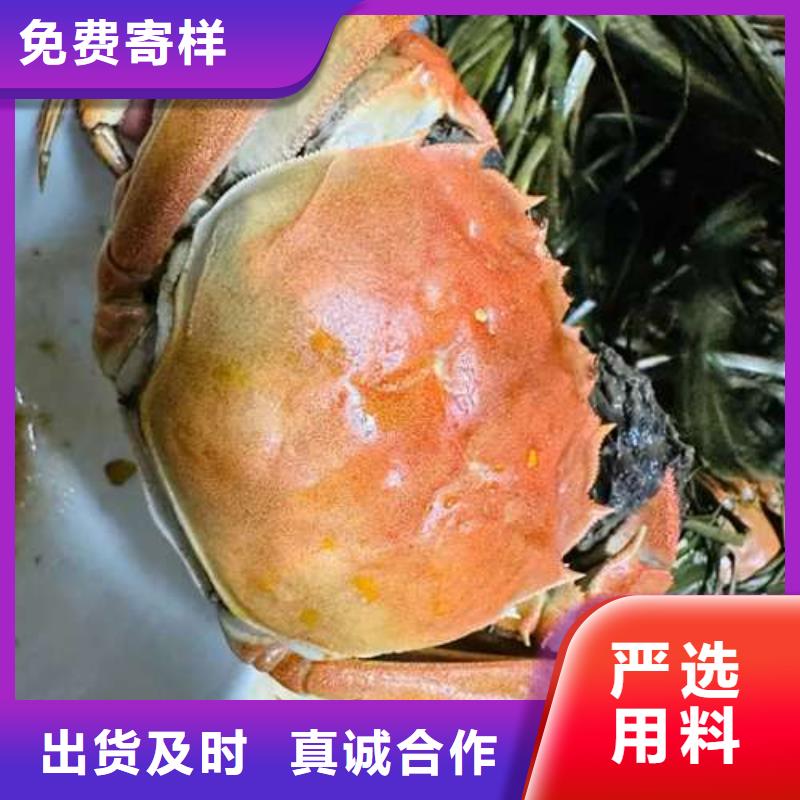 阳澄湖大闸蟹_价格实在