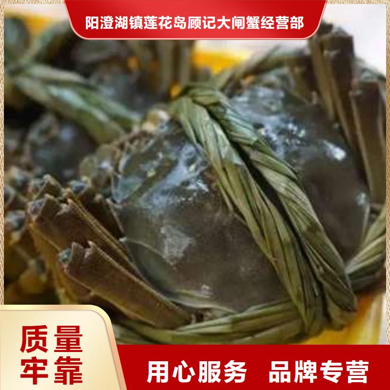 阳澄湖大闸蟹型号款式按需定制