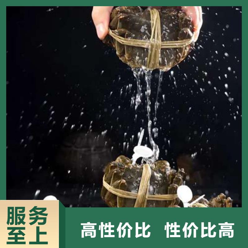 阳澄湖大闸蟹货源稳定