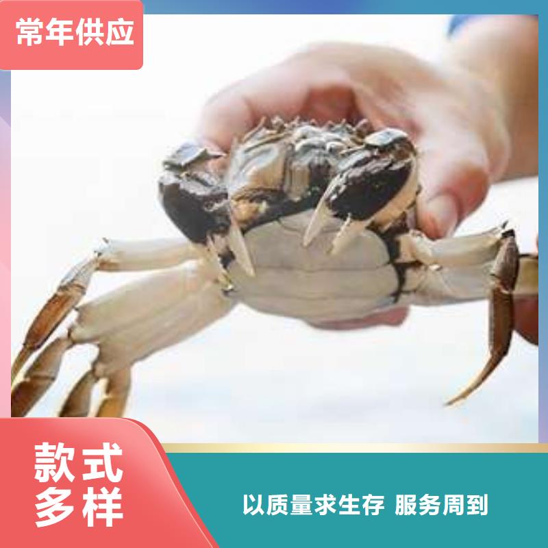 阳澄湖大闸蟹_价格实在