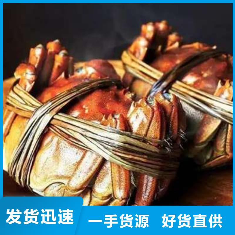 阳澄湖大闸蟹视频-阳澄湖大闸蟹-云南省楚雄市双柏|元谋|迪庆|玉溪|大理|昆明|昭通本土货源