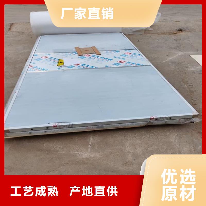 【图】1.0mmpb铅门