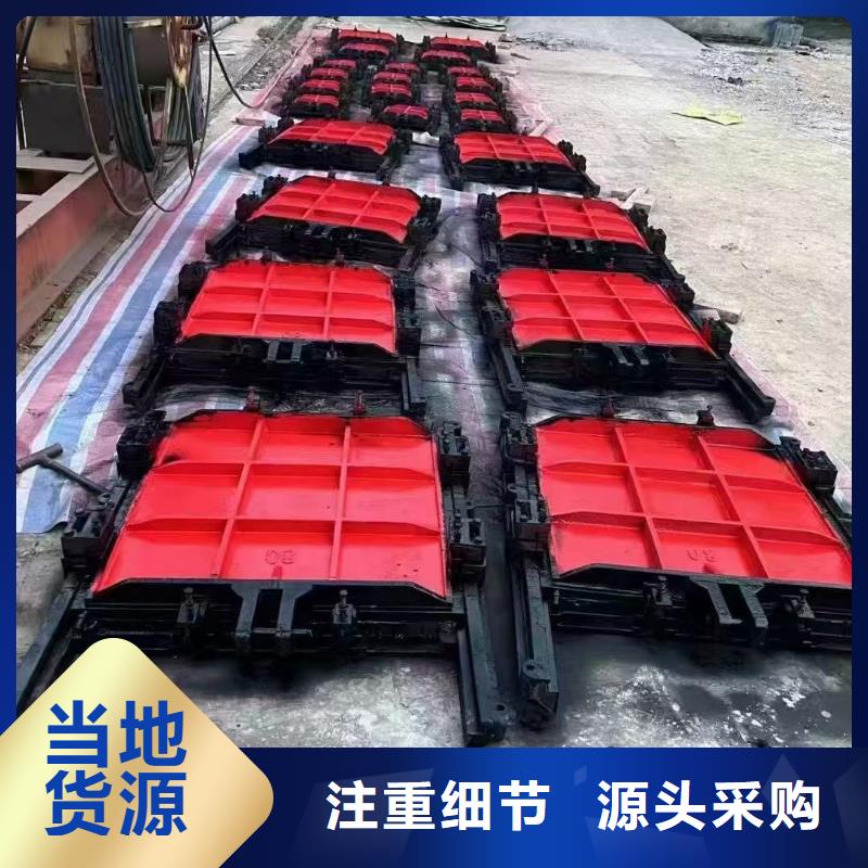 镶铜铸铁闸门现货供应
