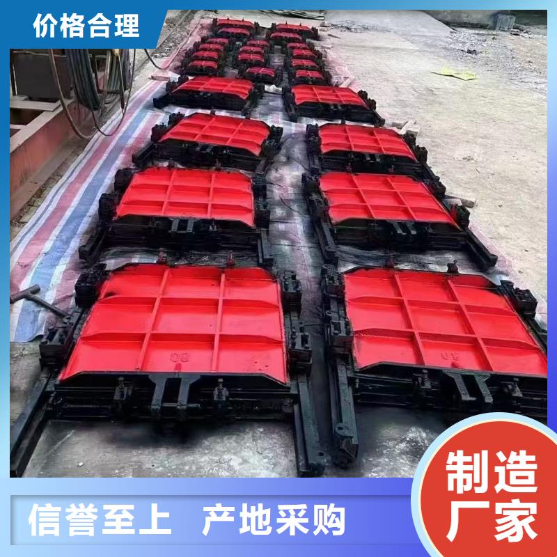 白沙县启闭机闸门-双向铸铁镶铜闸门智慧水利