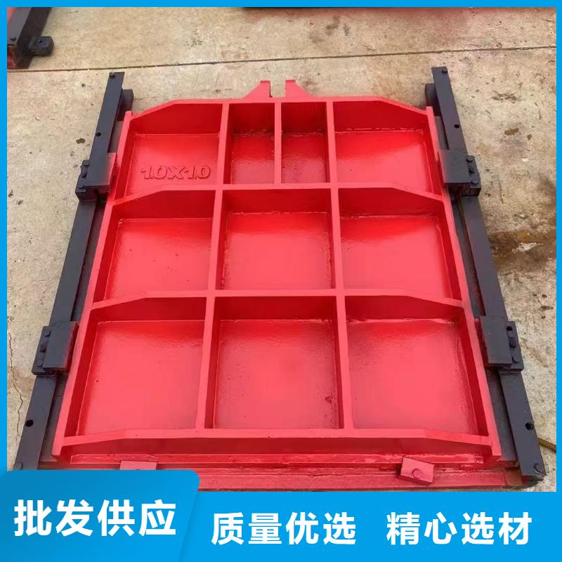 闸门启闭机-异形铸铁双向止水闸门高品质