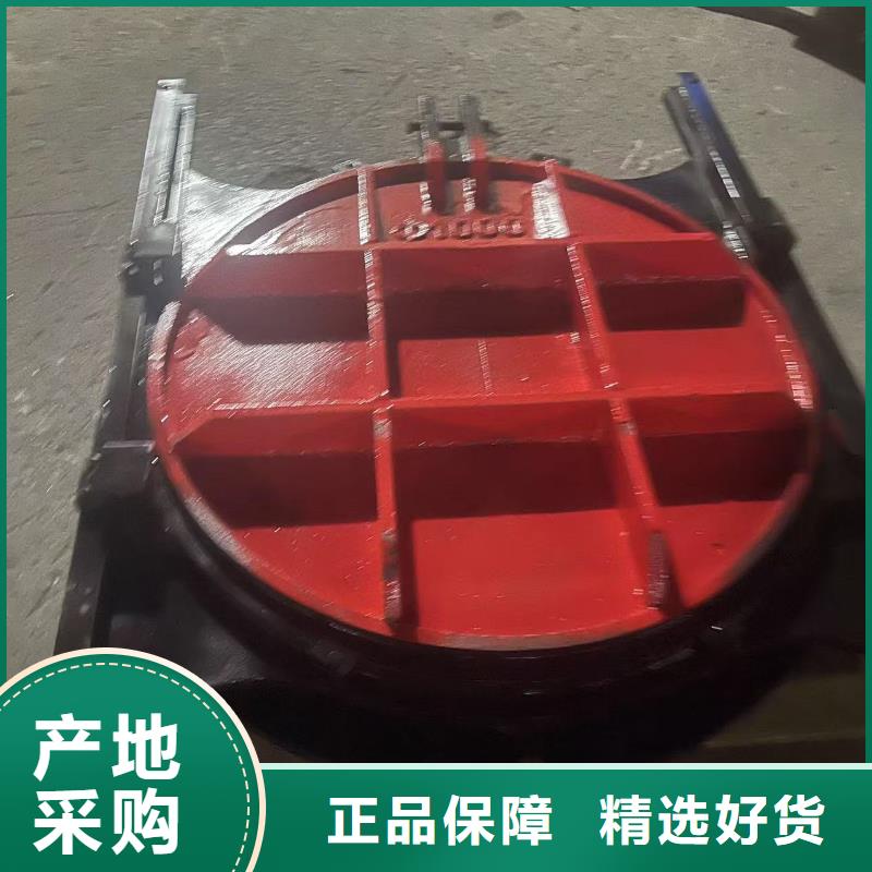 闸门启闭机-镶铜双向铸铁闸门性价比高