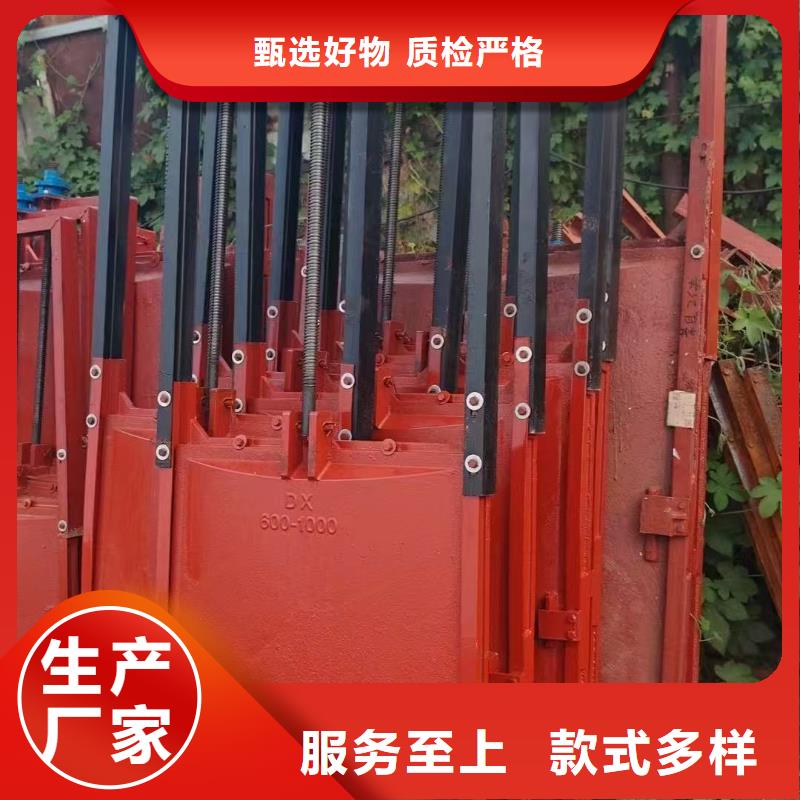 找一体铸铁闸门实体大厂