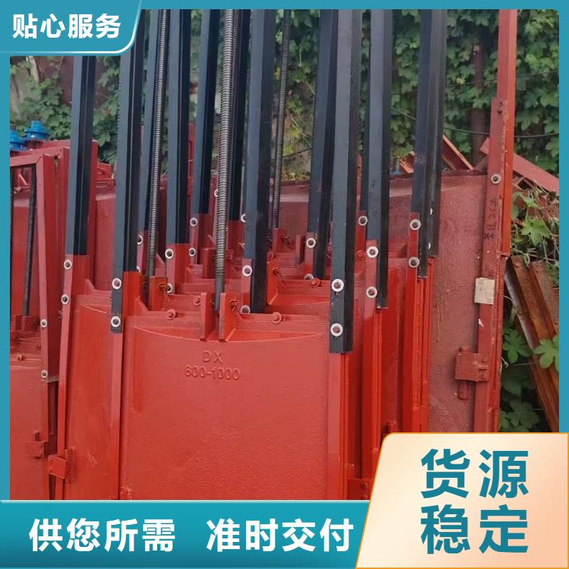 渠道闸门-p型止水带闸门水封环保型