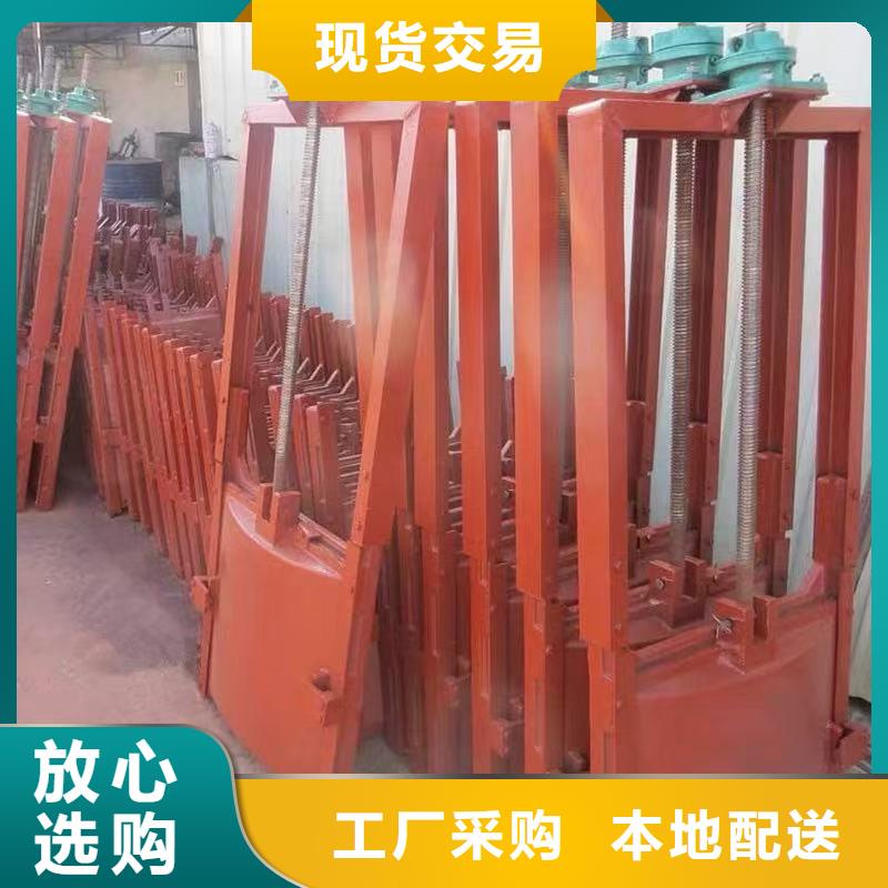 生产镶铜铸铁闸门