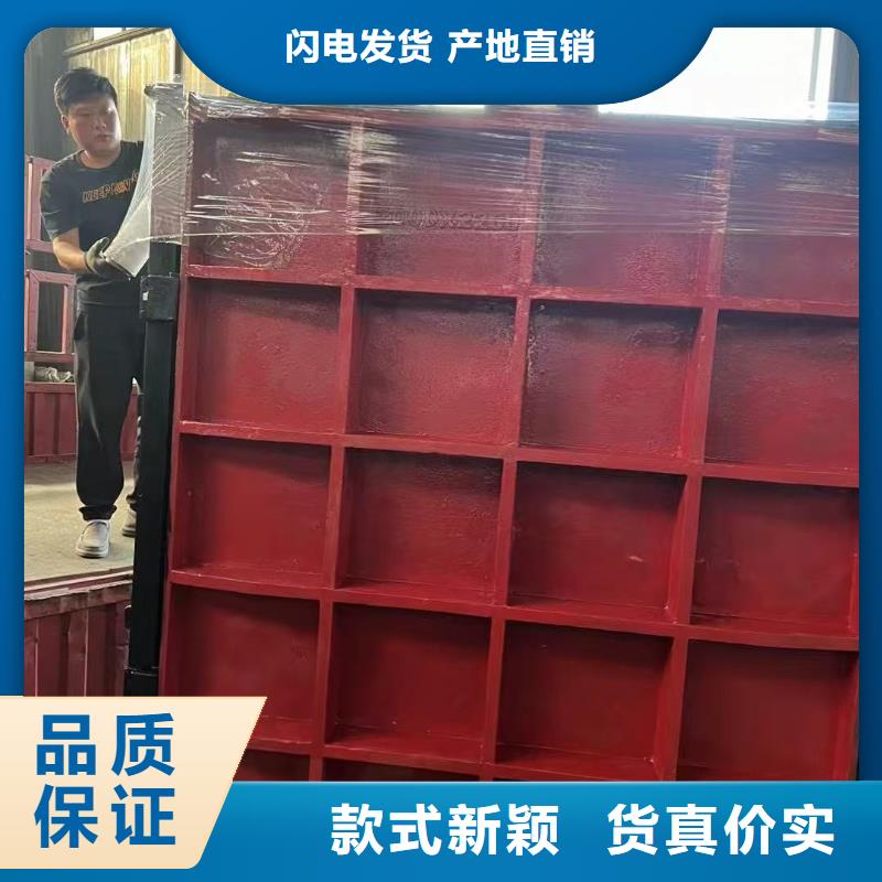 渠道闸门-p型止水带闸门水封高品质