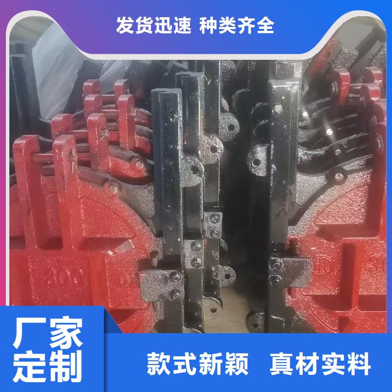 机闸一体闸门_1.0*1.0闸门-价格多少