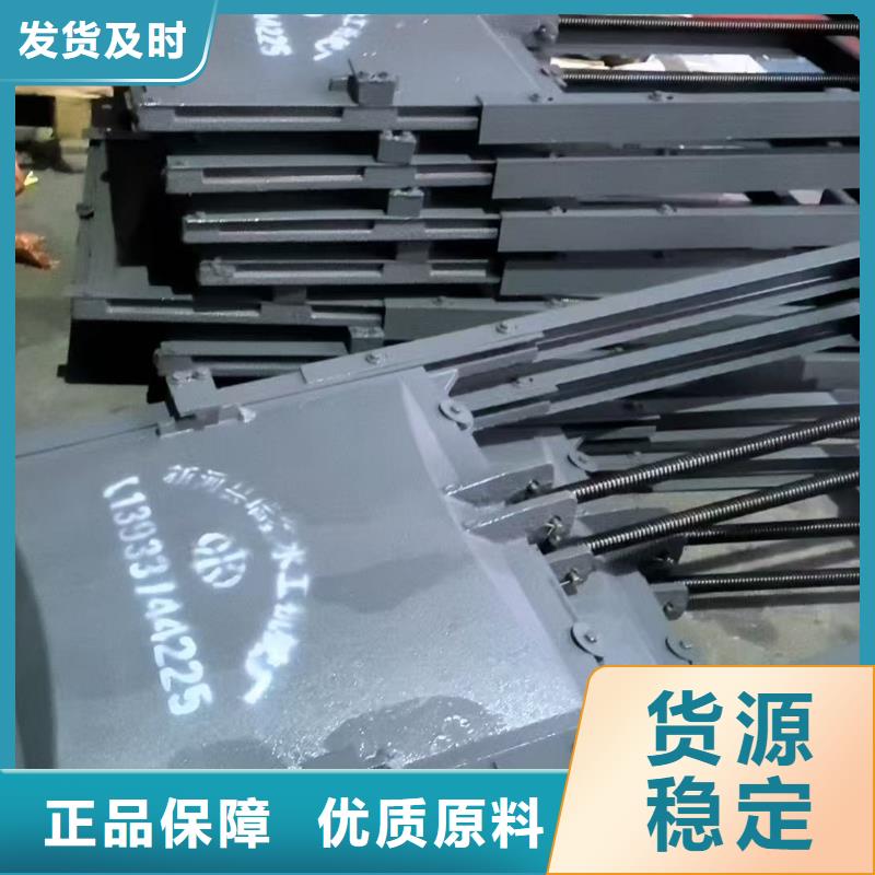 平面拱形闸门-双向转动闸门智慧水利